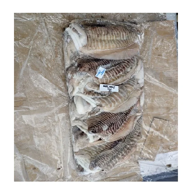 Frozen Cuttlefish whole from india, block frozen ,land frozen cuttlefish