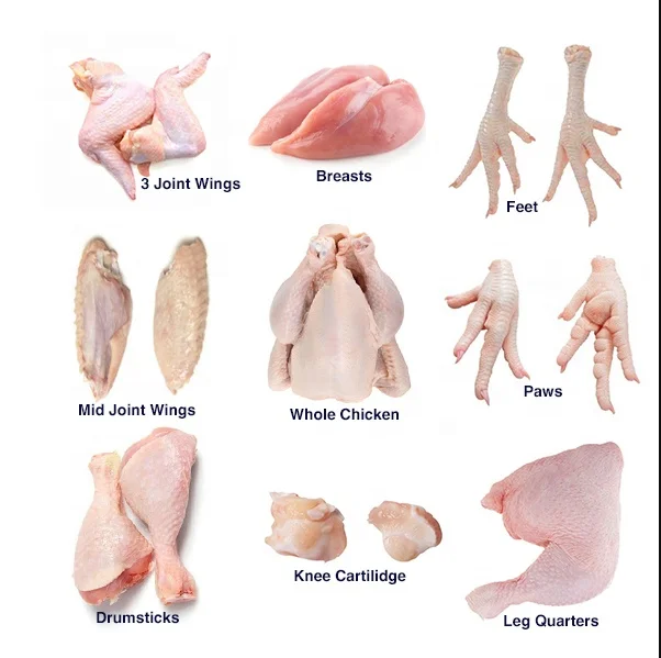 frozen quality quail chicken chicken paws frozen meat frozen chicken feet for sell package 10kg and 15kg cartons