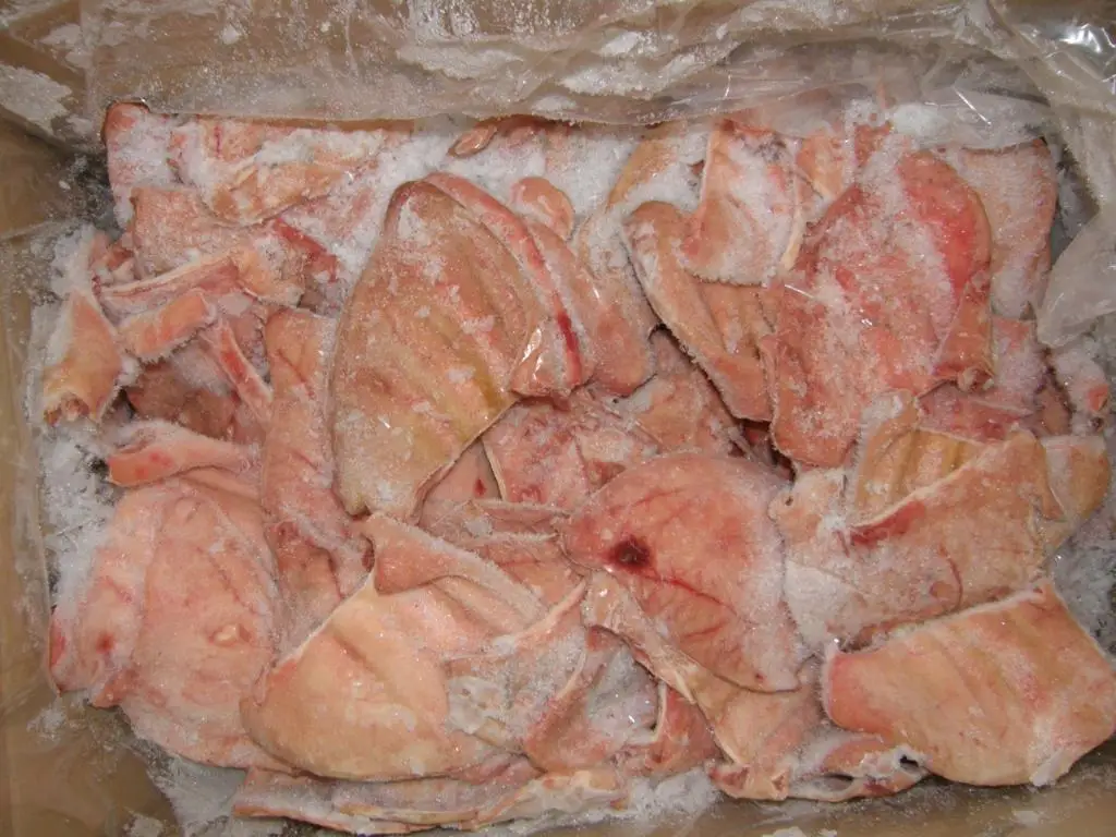 ORGANIC FRESH FROZEN PORK EAR MONTENEGRO ORIGIN PROCESSING FROZEN PORK EAR ORIGIN TYPE  MONTENEGRO PORK EAR  A GRADE 400-450G 20