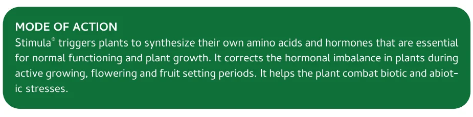 Screenshot (1024).png