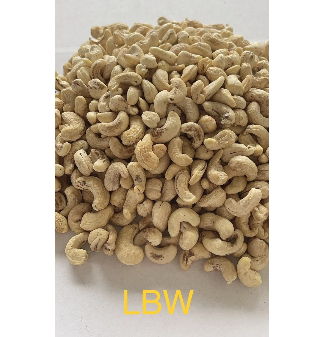 High Quality Cashews Nut Supplier Offers Raw Cashew Nuts In Shell