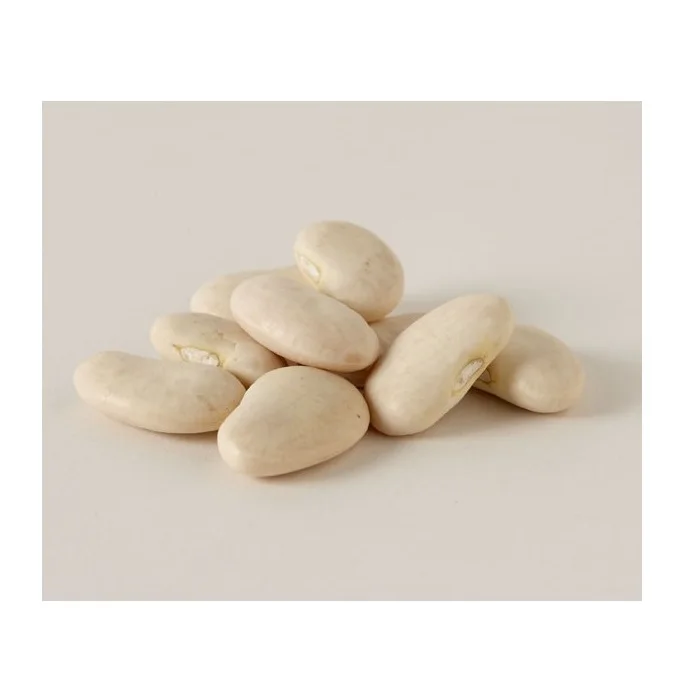 
Bulk Quantity Of White Butter Beans Available Here At Best Prices 