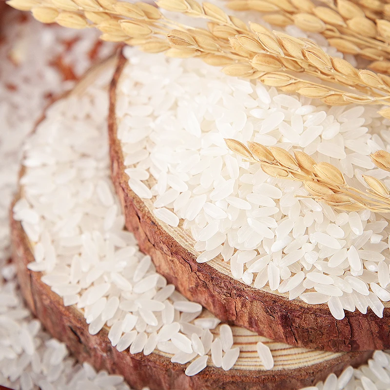 Agriculture Ukraine High Quality 5% standard Soft Dried Long grain White Rice