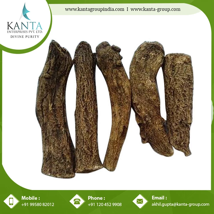 Best Costus Roots Essential Oil used as a Flavouring Component in Food and Beverages at Bulk Supplier Wholesale Price