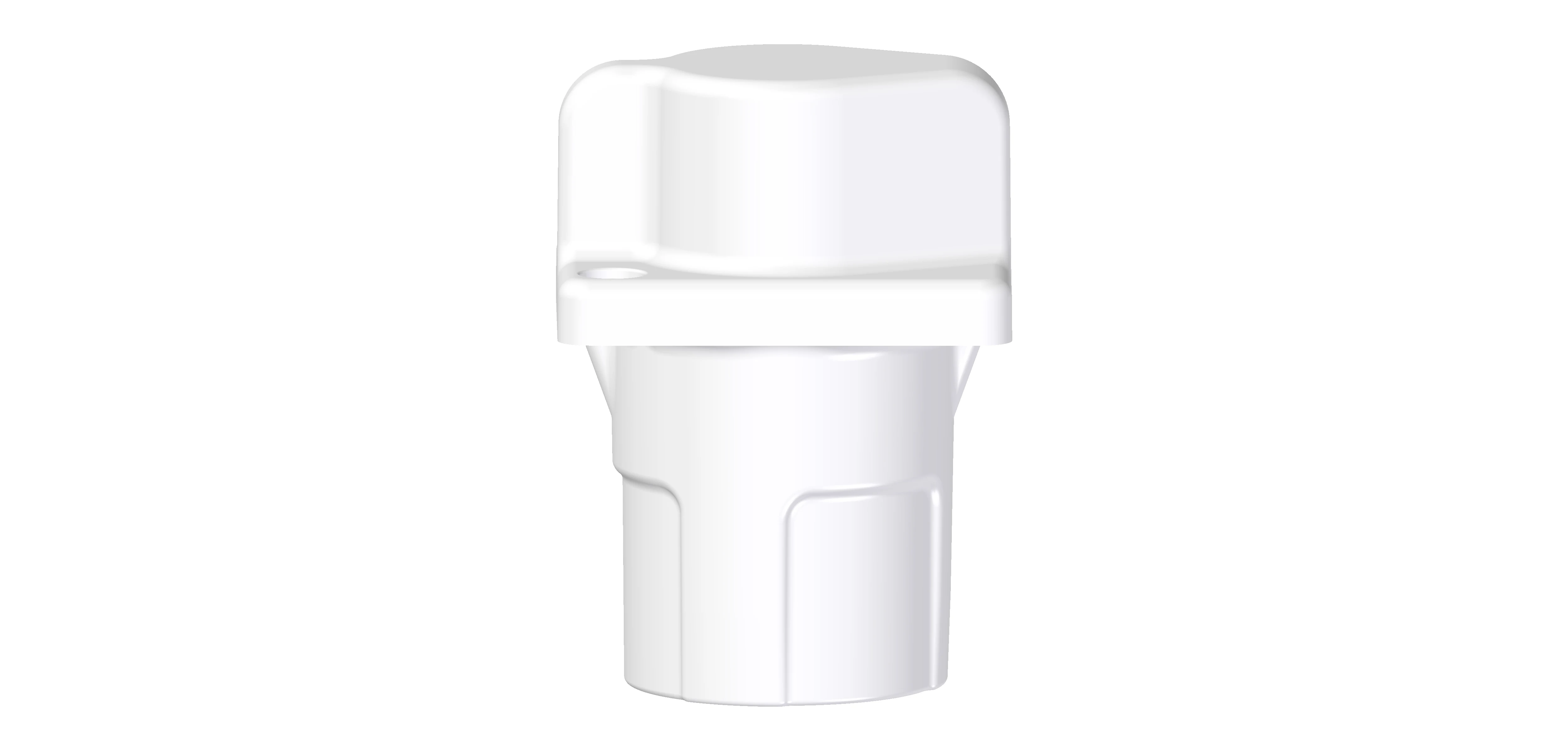 Made in Italy Dental Plastic Cap prosthesis Peek