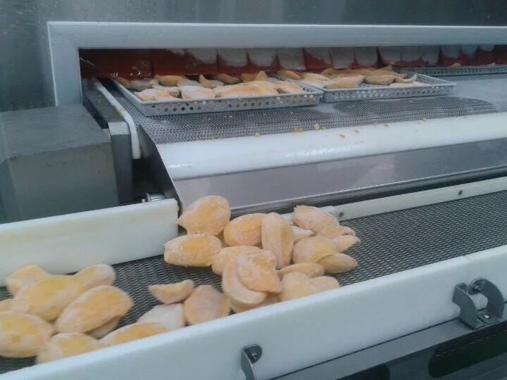 
FROZEN MANGO CHEEK( HALF) FROM TS FOOD 