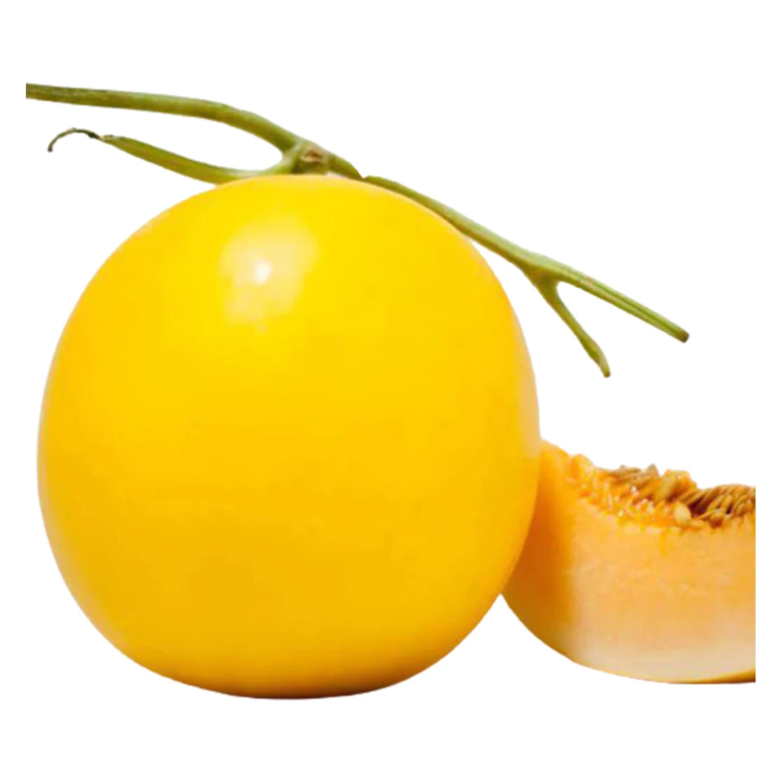 Best Selling High-quality Sweet Yellow Canary Melon cheap price High quality from Seller in Vietnam buy now