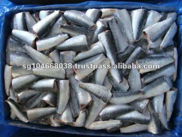 125g 50tins Cheap Price Canned Sardine Titus Fish in Vegetable Oil Body OEM Style Piece Packaging Pcs Weight Easy Sardines HGT