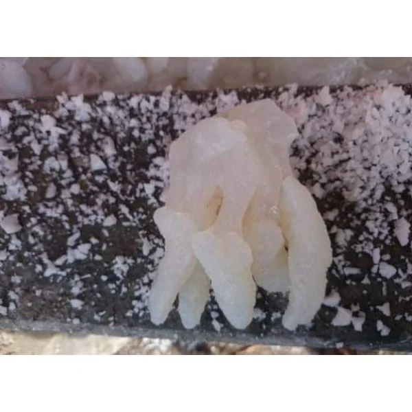 Fresh Nutritive Seafood/Jellyfish Exporter