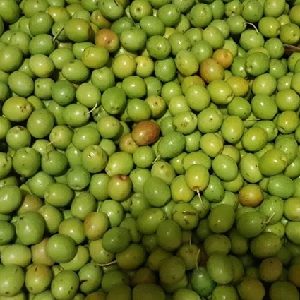 
Fresh Olives-Quality green Fresh Olives 