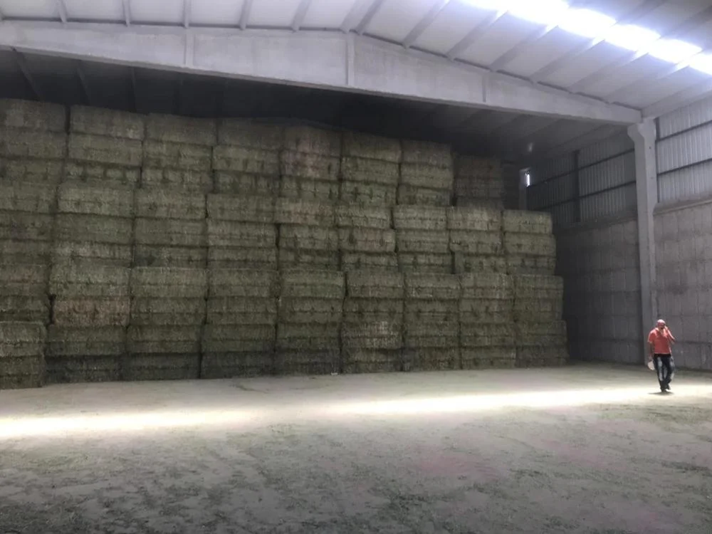 
MEDIUM AND LARGE ALFALFA HAY BALES FROM TURKEY 