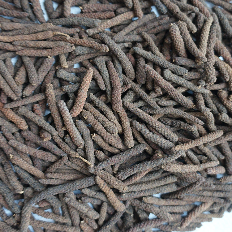 
China Spices&seherbs raw material supplier wholesales pippali spice indian long pepper pippali herb with high quality& low price 