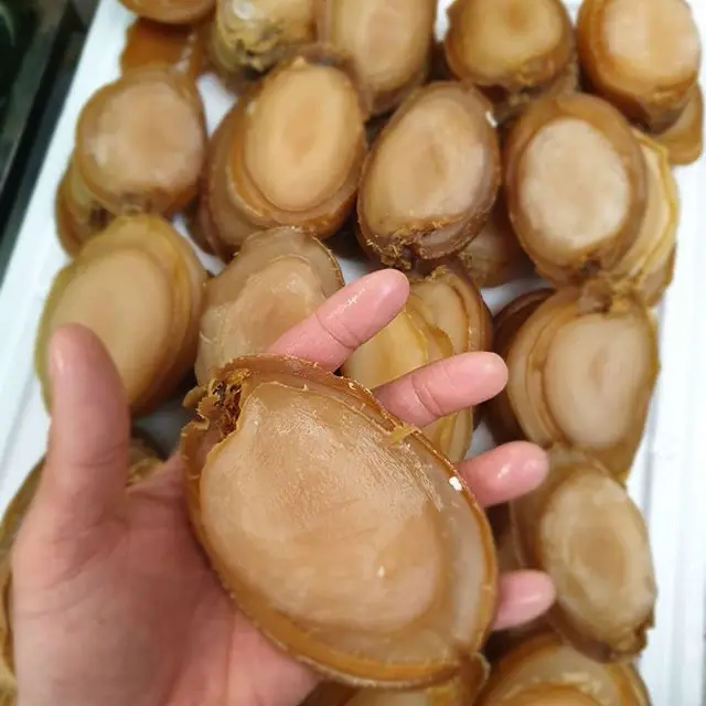  100% Frozen Gold Abalone Food Grade