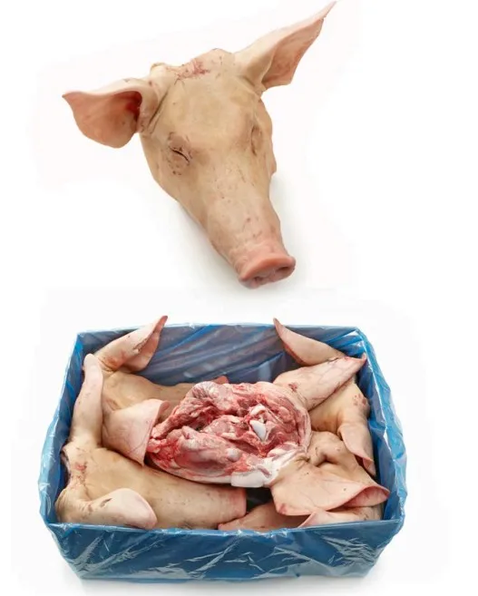 
Frozen pork head/Pork head with out ear for sale 