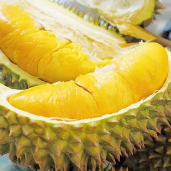 Оптовая цена-Премиум MONTHONG DURIAN урожая из Вьетнама/мисс Триш + 84 984 696 874