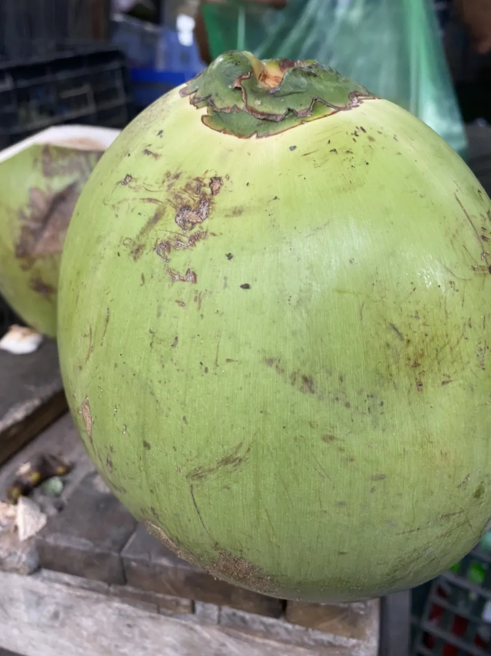 Свежий молодой кокос