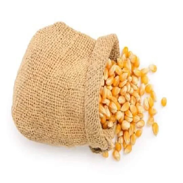 Yellow Corn & White Corn/Maize for Human & Animal Feed