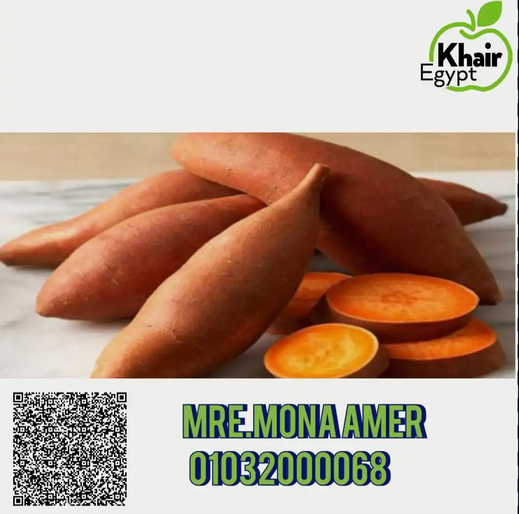 100%  High Quality Exclusive Fresh SWEET POTATOES available for export at a Cheaper Price