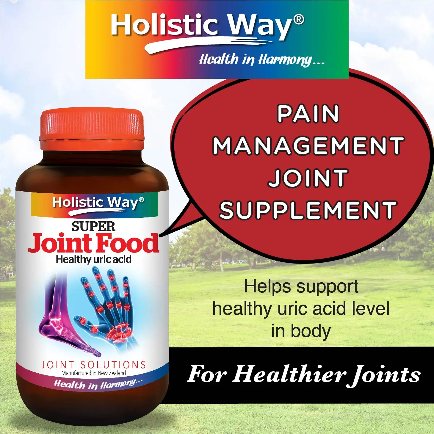 Support Healthy Joint Function Herbal Supplements Alleviate Gout & Arthritis 60 Vegetarian Capsules 54g Holistic Way