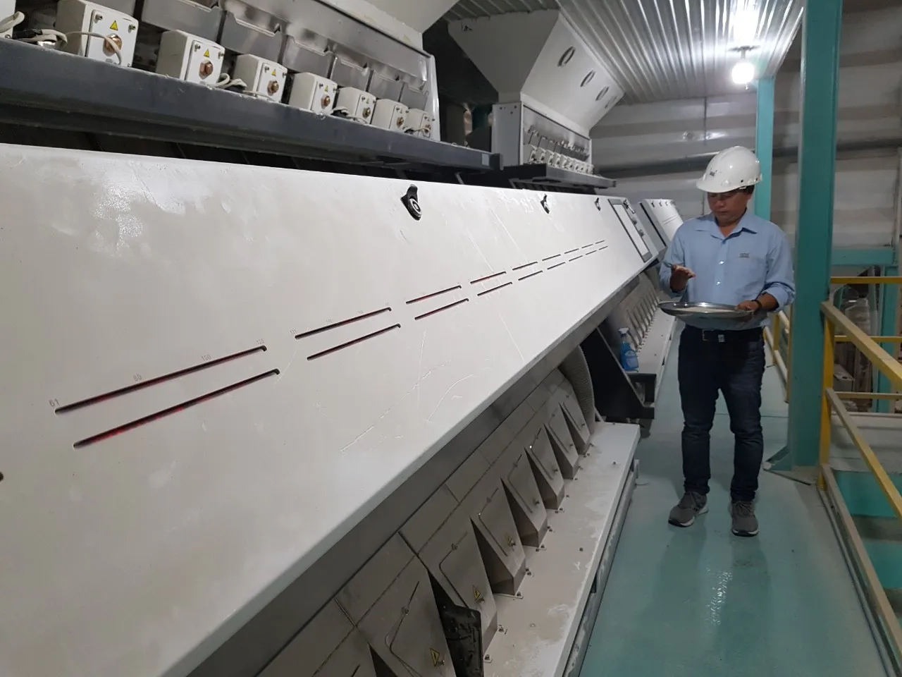  JAPONICA для изготовления суши хорошее качество специальное предложение-WHATSAPP + 84765149122