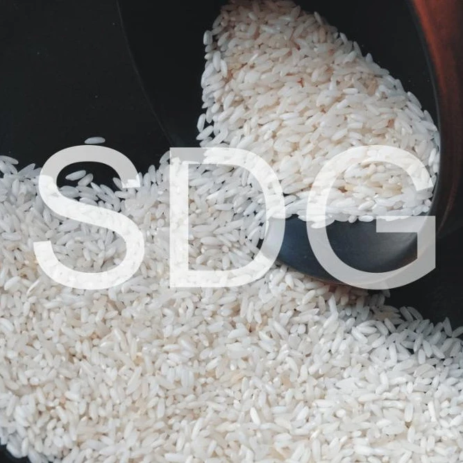 Sona Masoori Rice Medium-grain Rice White Wholesale Raw Non Basmati Rice Common Fresh Hard and quality