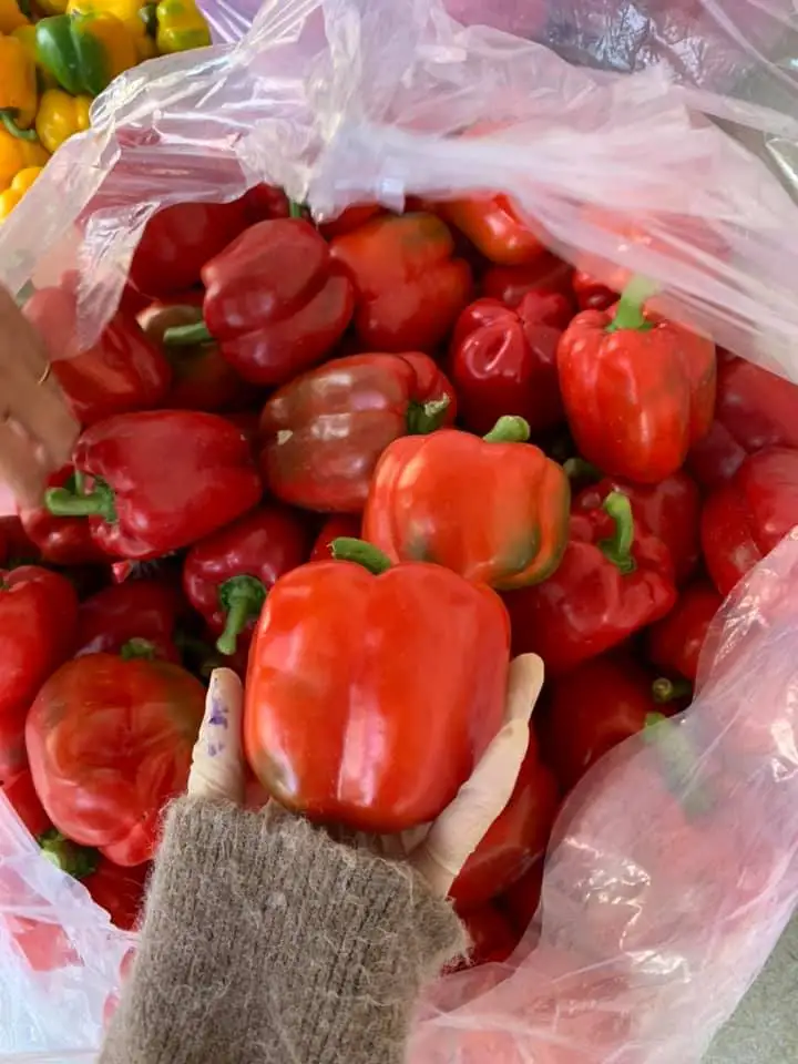 Вьетнам-натуральный продукт-высокое качество и Лучшая цена на экспорт многие