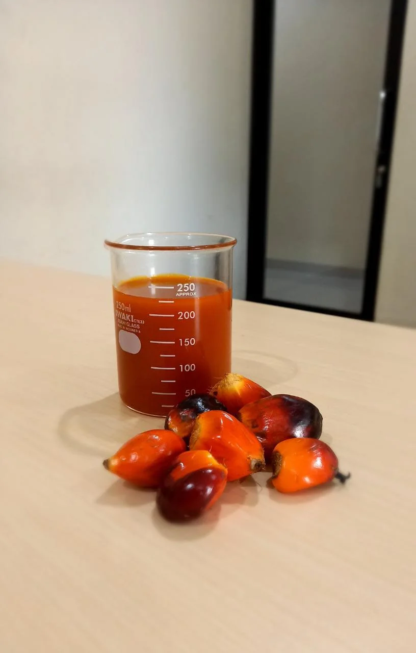 100% Purity Natural Crude Palm Oil (CPO) From Indonesia With Best Price