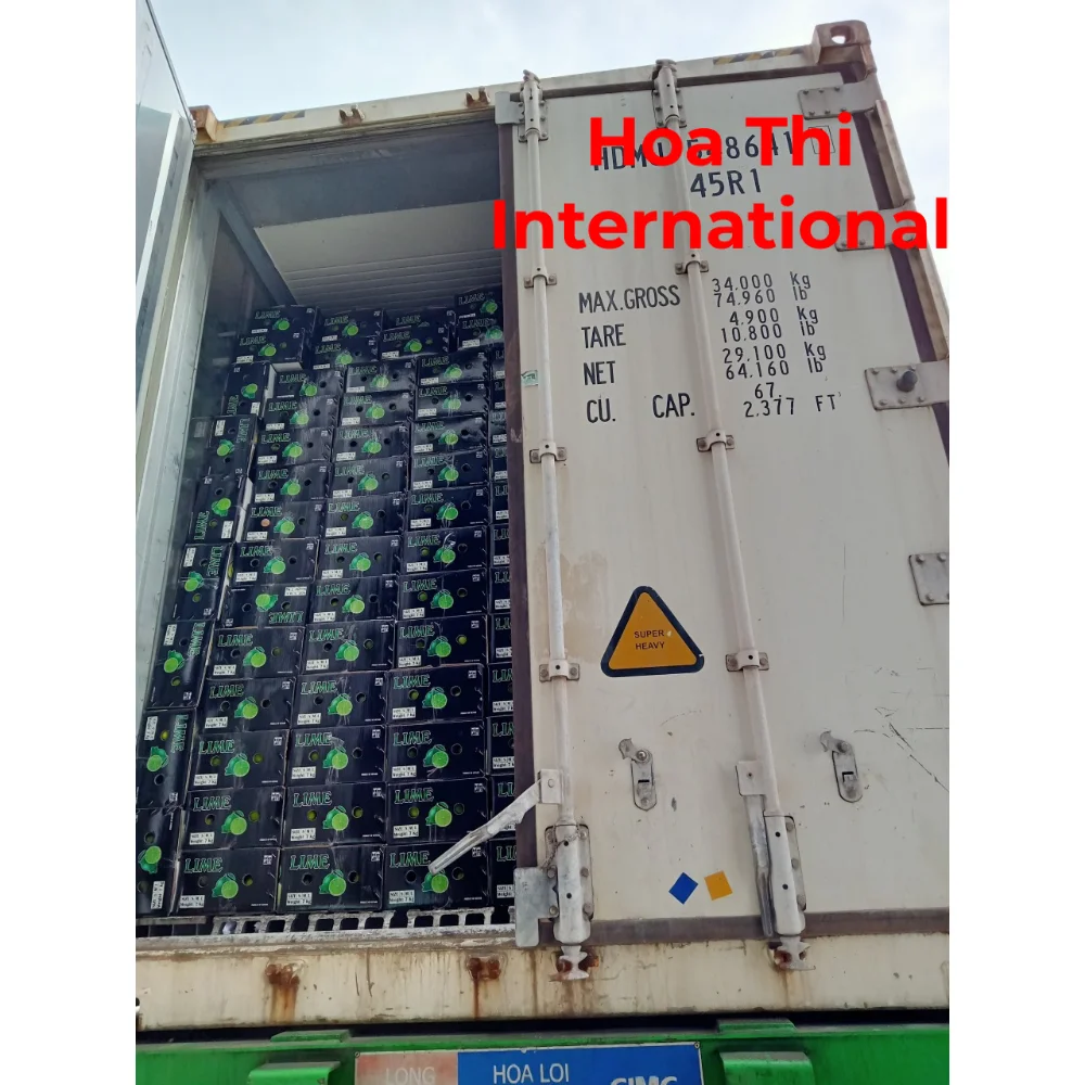 10kg Fresh 100% Maturity Green skin Good Quality 5 cm Size 12 Months Shell Life Natural Taste Lime Seedless