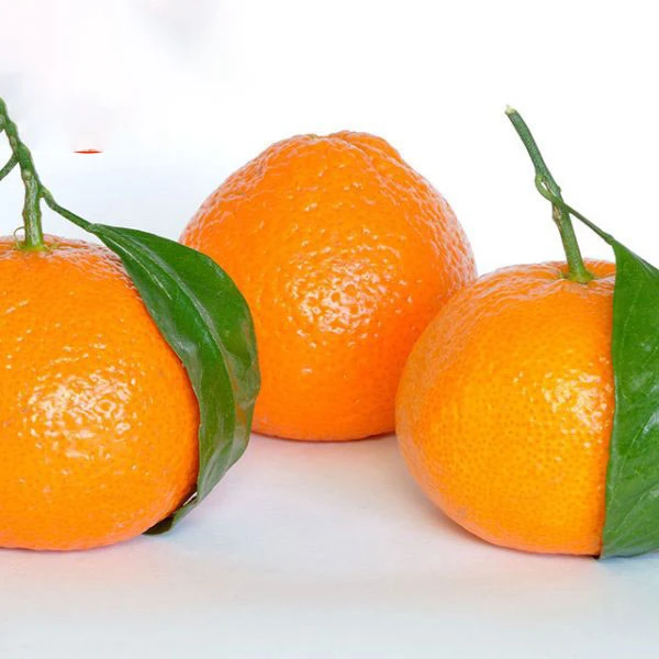 mandarin Oranges