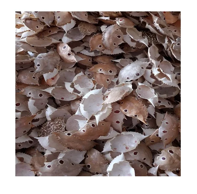 Низкая цена, ракушки для крабов, корм для костей краба для крупного рогатого скота, натуральная ракушка краба-МС Софи + 84 901 022 641