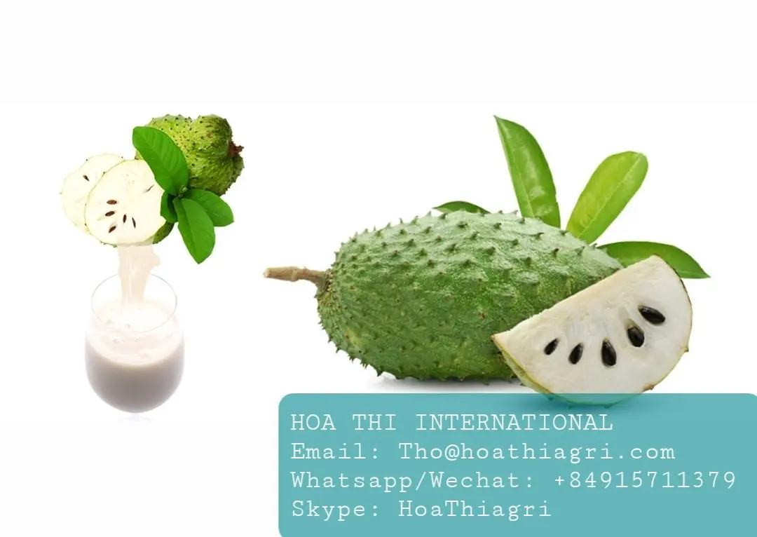 24 Month Shell Life Sterilized Sweet Sugar-Free  Frozen Soursop Pulp With Seed/Seedless Origin From Vietnam