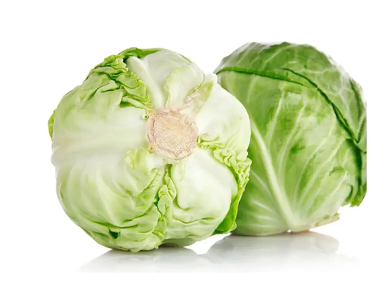 Лучшая цена с высококачественной свежей капустой из Вьетнама
