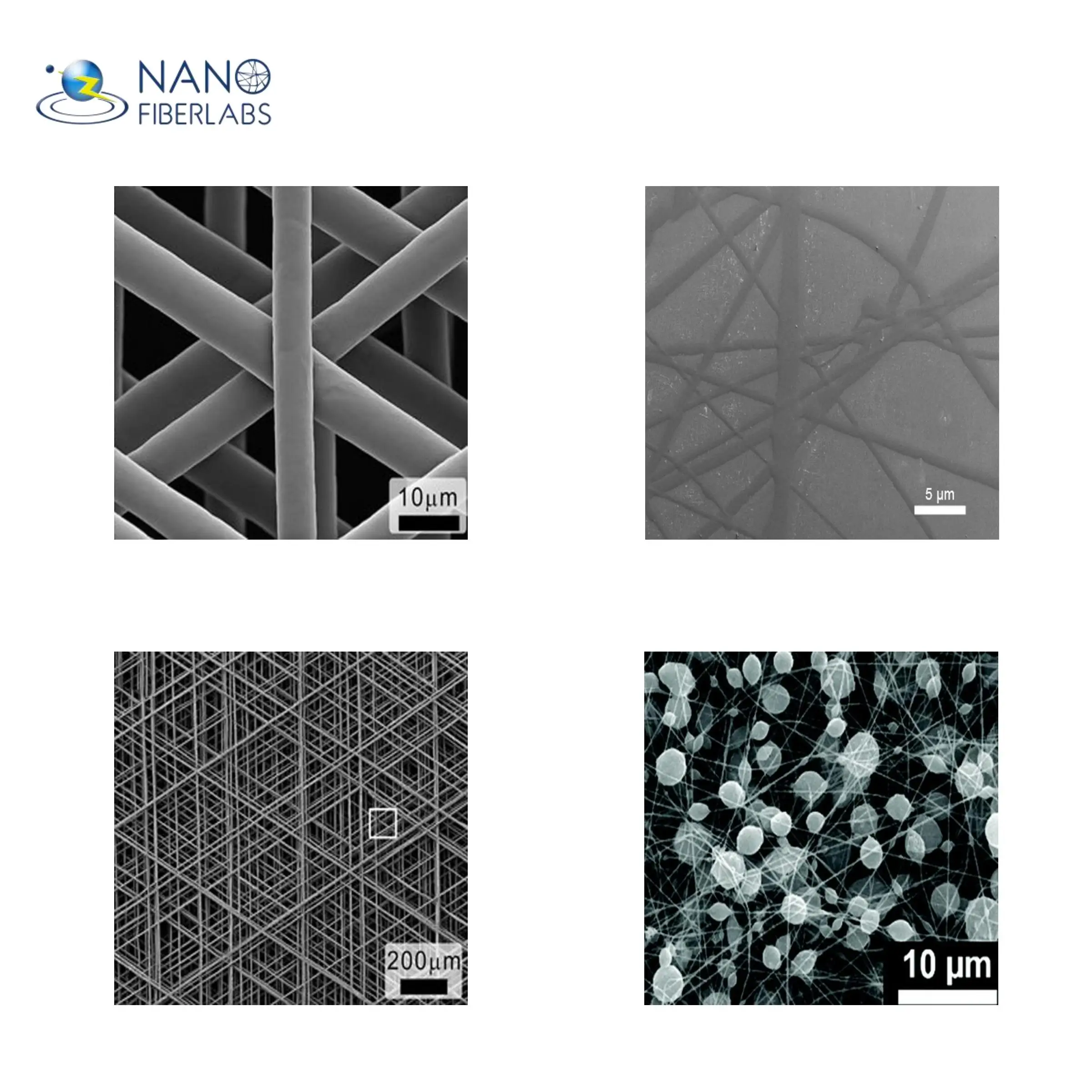 Electrospun ordered micro/nanofibers dural repair 3d bio printer