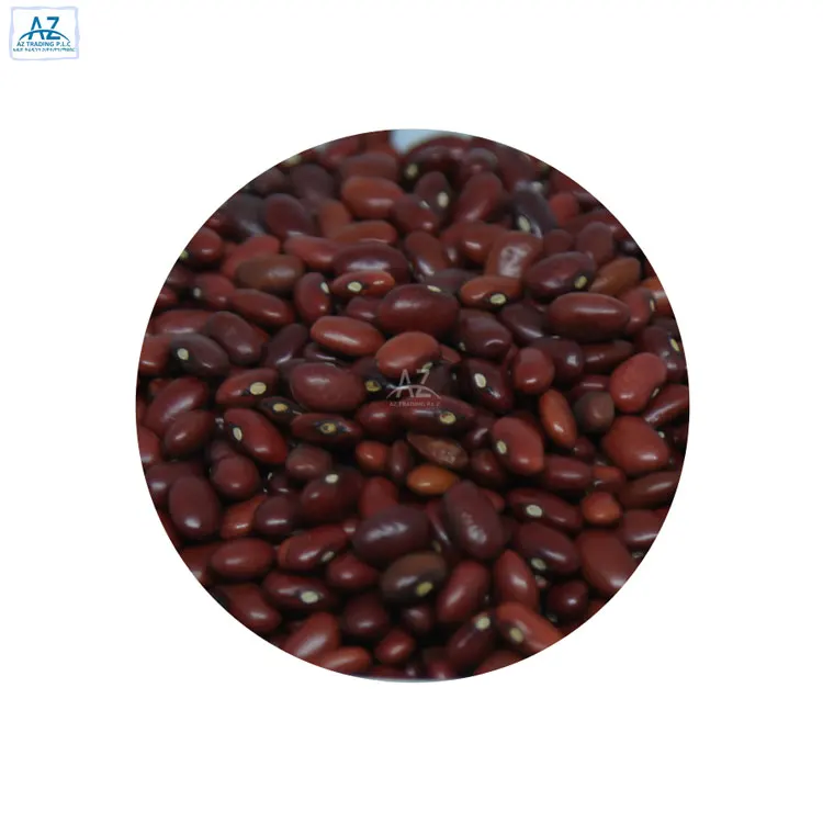 Leading Manufacturer of High Quality Bulk Red Kidney Beans from Ethiopia