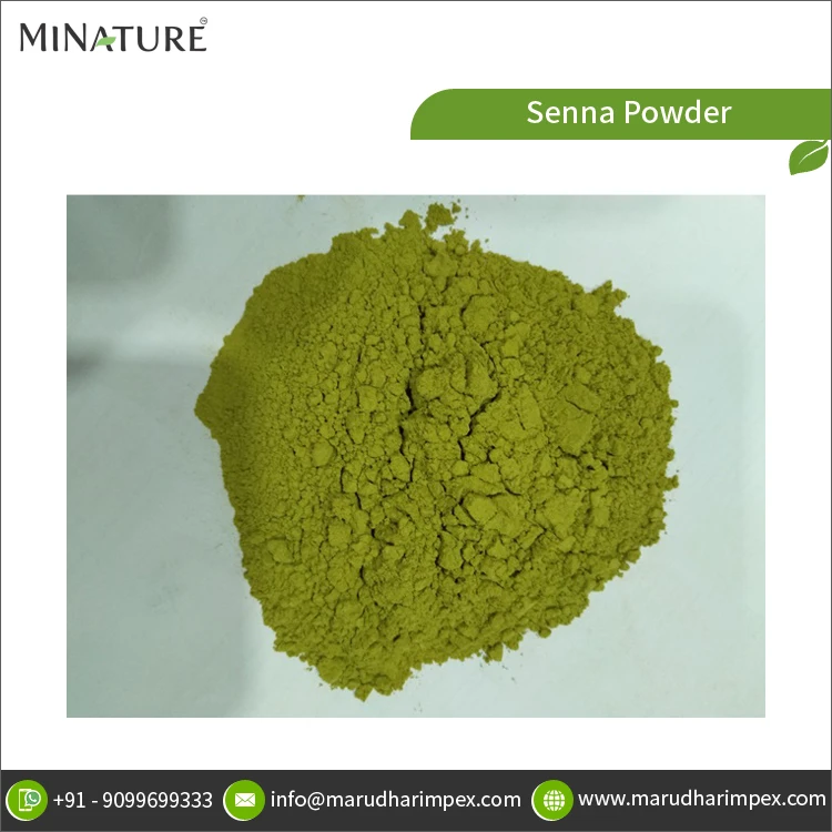 Wholesale Supplier of Top Selling 100% Pure and Natural Bulk Senna Herbal Powder from Indian Exporter