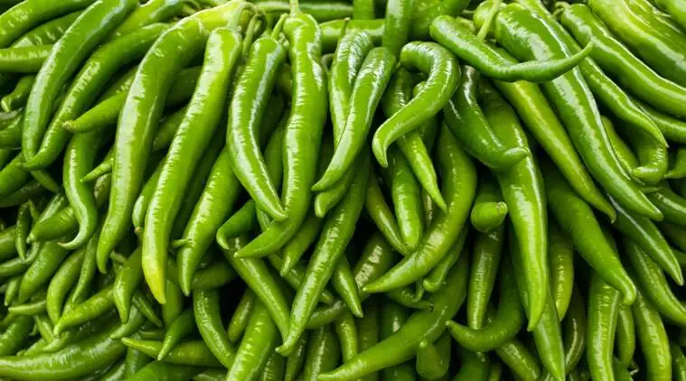 Fresh Green Chilli Wholesale Top Grade Fresh Green Chili Exporters Fresh Green chilli Seller From India .