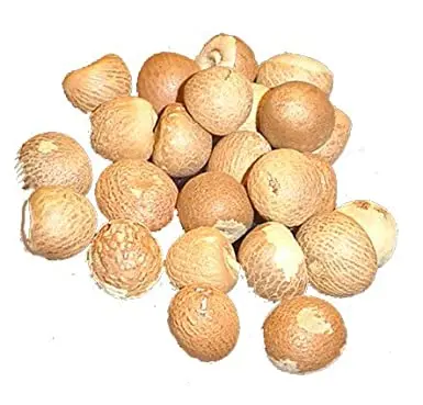 Dried Betel Nut - Wonderful Quality with Best Price for exporting 2020