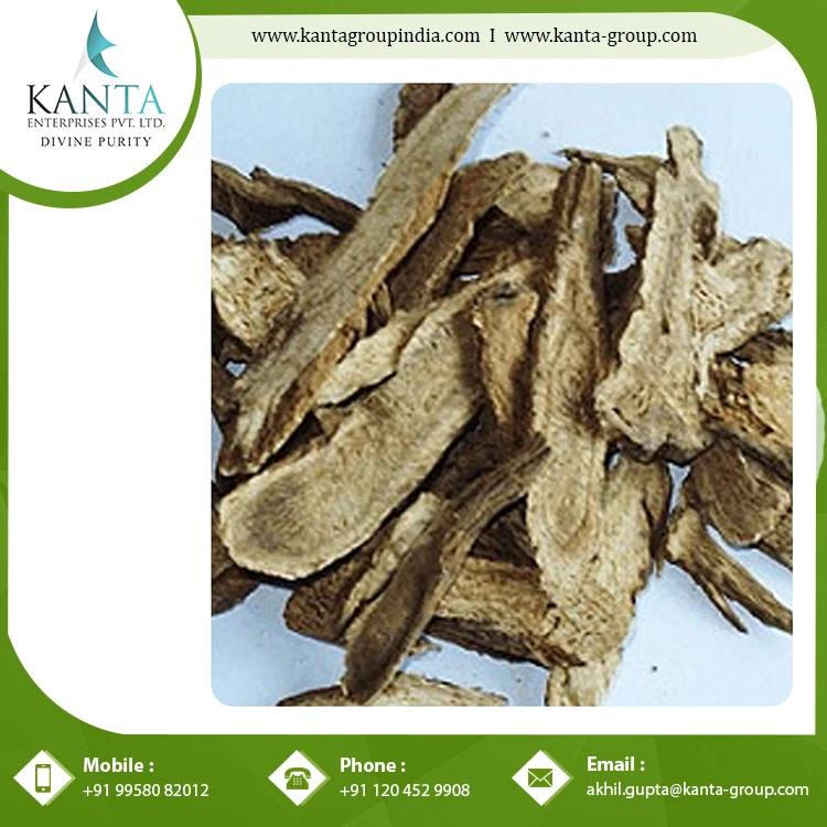 Best Costus Roots Essential Oil used as a Flavouring Component in Food and Beverages at Bulk Supplier Wholesale Price