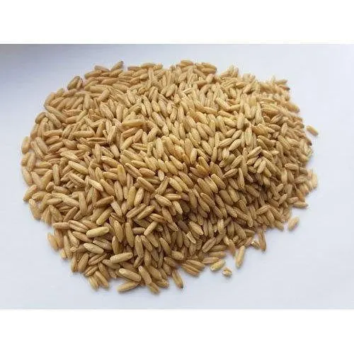 Высококачественные 1 Семена овса/зерна в рулоне овса без овса/овсянка