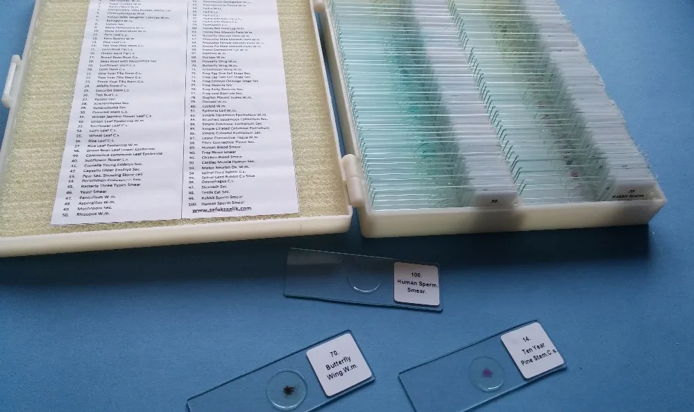 Teaching Microscope Human Pathology Slides (100pcs)
