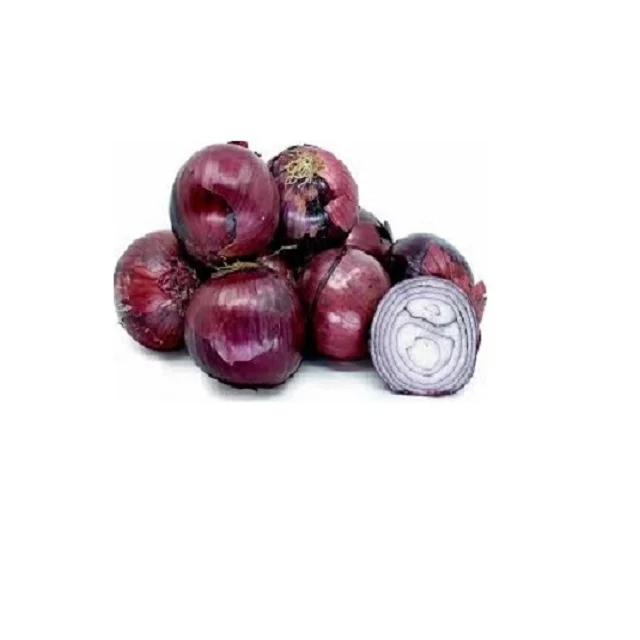Indian Fresh Onion from India, Top Export Quality Fresh Onion, Yellow Onion Red Onion
