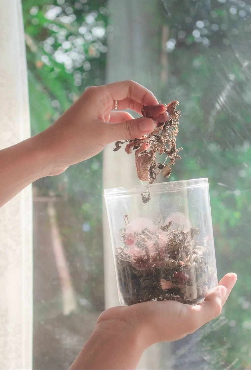 Чай Ogain для мамы 80 г из Таиланда