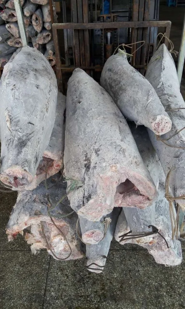 Замороженный черный и красный Marlin HGT, хорошее качество для рынка