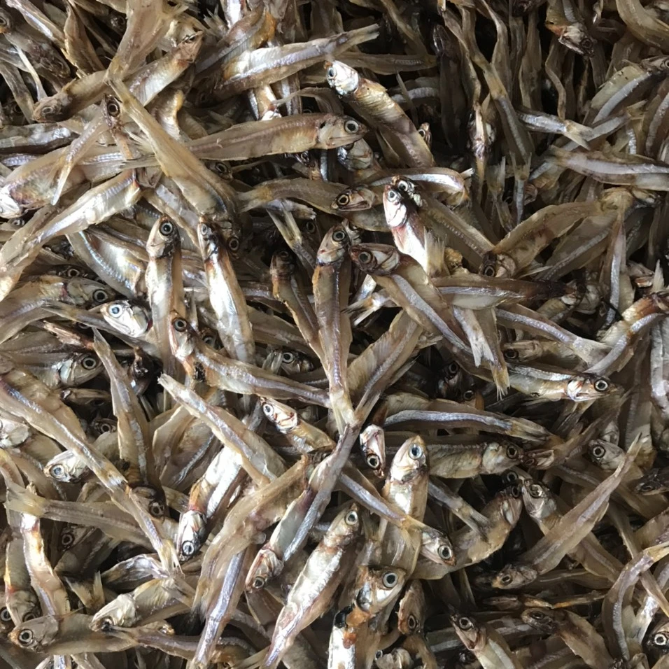 
Best quality Dried anchovy by sunshine from Vietnam 