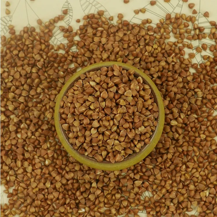 Best selling organic dried buckwheat