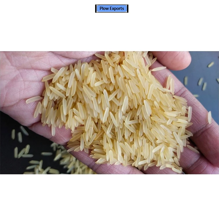 Long-Grain 1121 Golden Sella Basmati Rice at Low Market Price