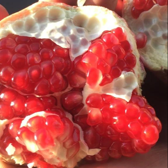 Pomegranates/ Fresh Pomegranates