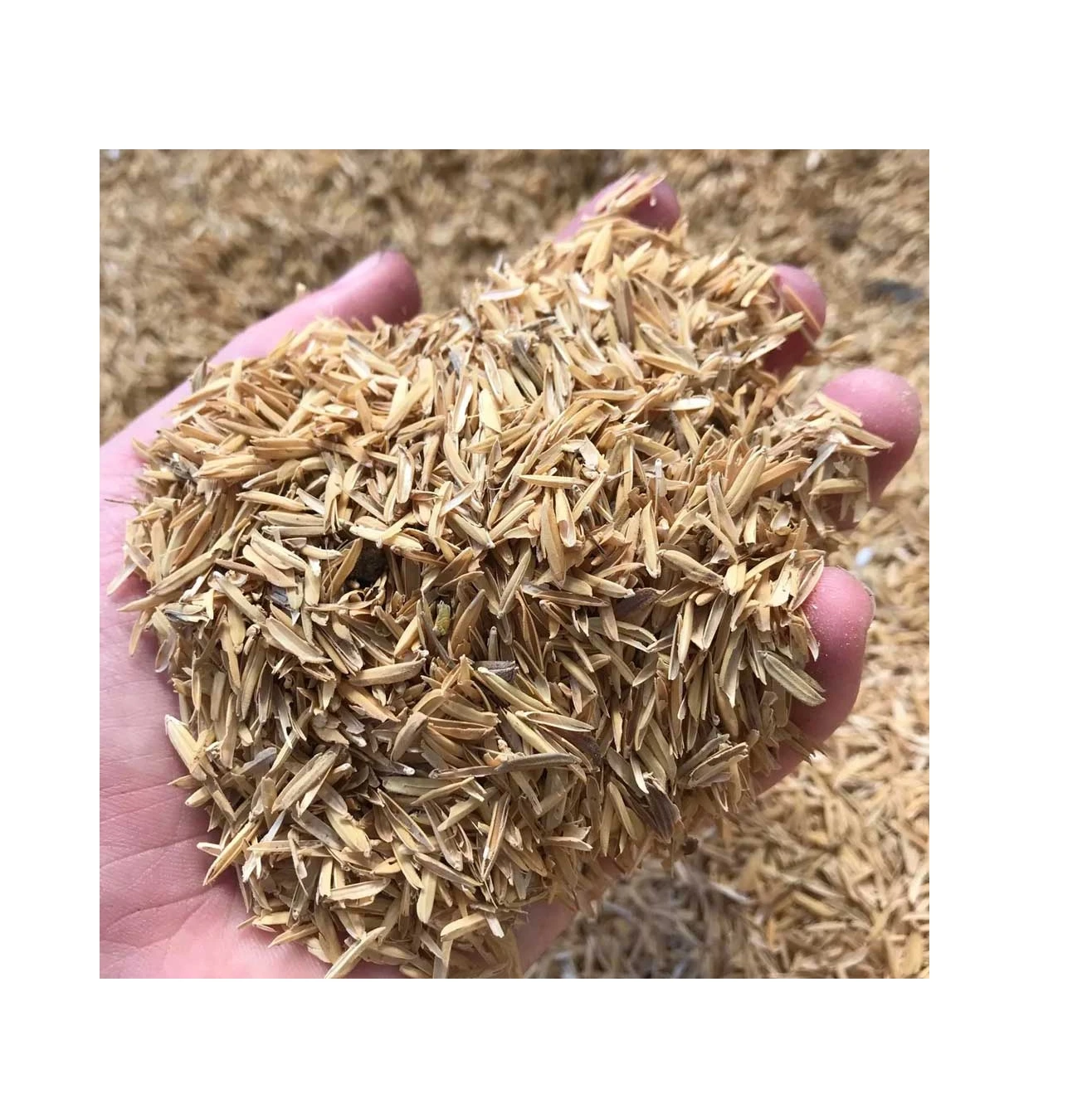 
 Высококачественная экспортная стандартная рисовая шелуха натурального желтого цвета с максимальной влажностью 10%, подходит для растений  