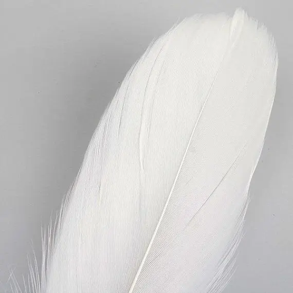 [NEW] High Quality Duck Feathers - Cleaned and Blood Removed - Ms. May + 84 904183651