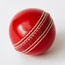 Leather Cricket Playing Hard Ball Custom Logo Soft Foam For